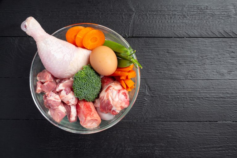 makanan tinggi protein