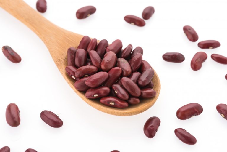 kacang merah