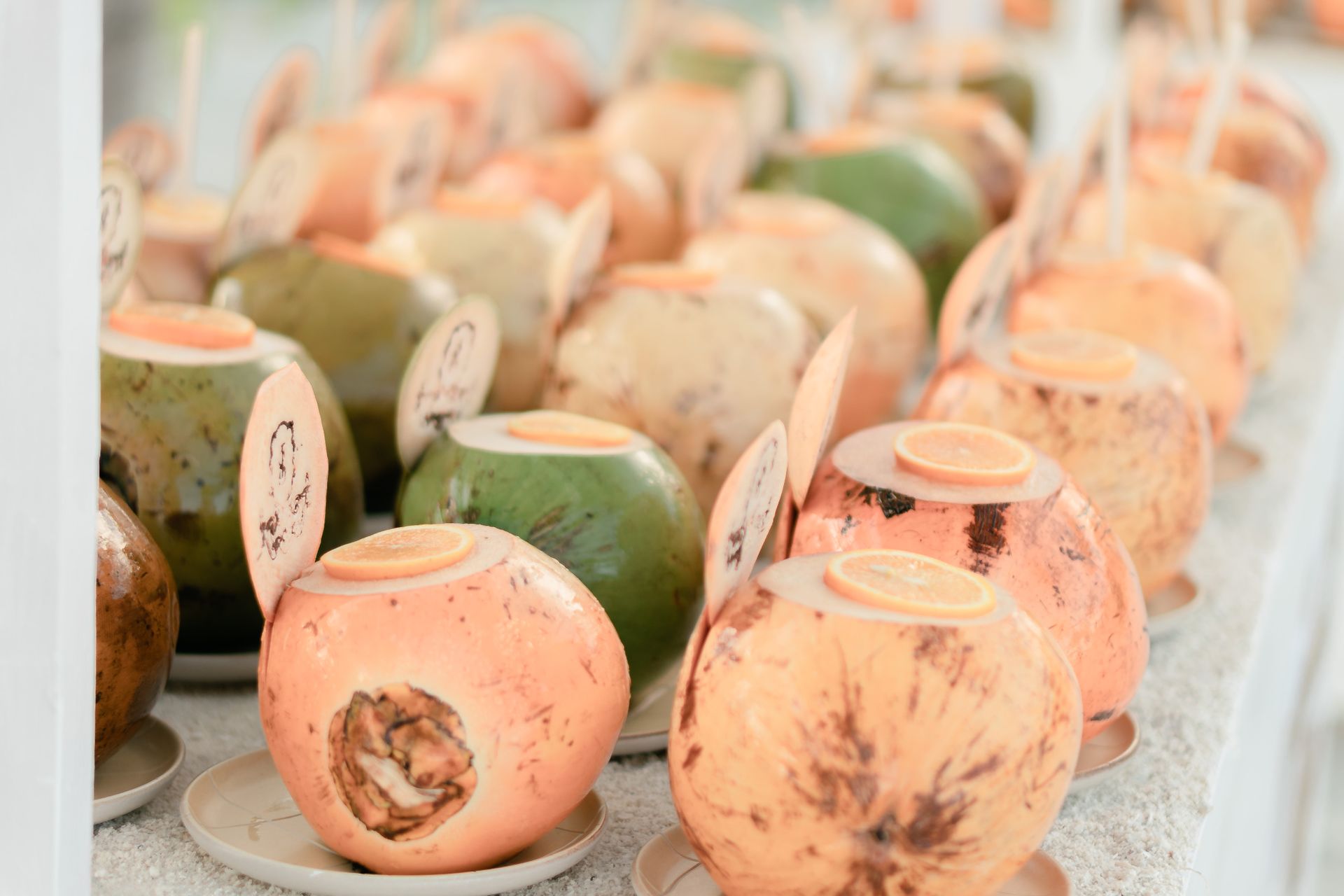 Kelapa kopyor