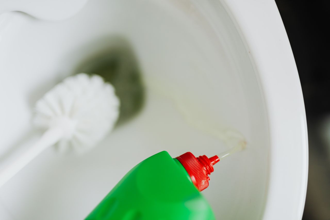 Sikat WC