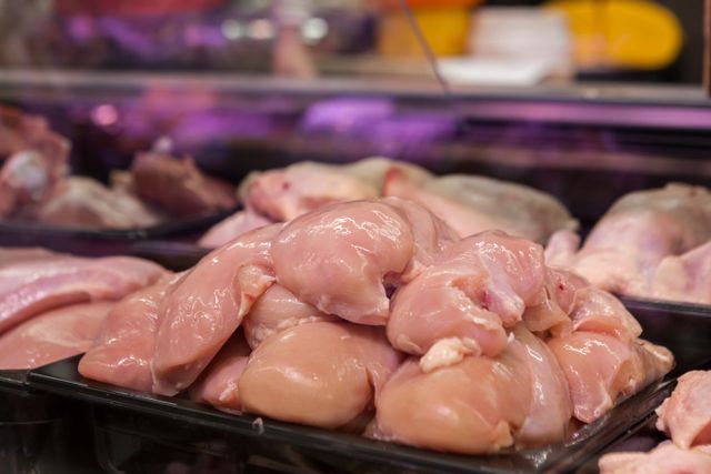 bisnis ayam potong